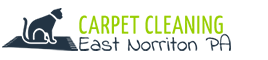 carpetcleaningeastnorritonpa.com